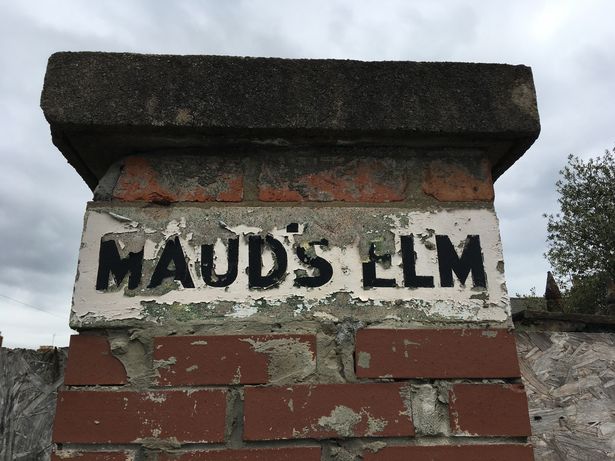 Maud's Elm Folklore mystical times blog